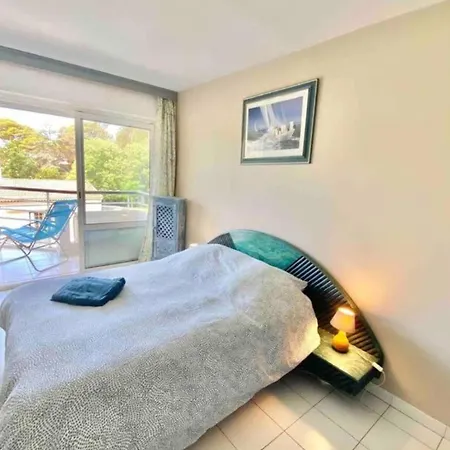 Apartment With Pool Near The Sea Saint-Raphael (Var)